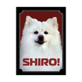 Shiro Sleeve