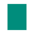 Double Matte Teal Sleeve