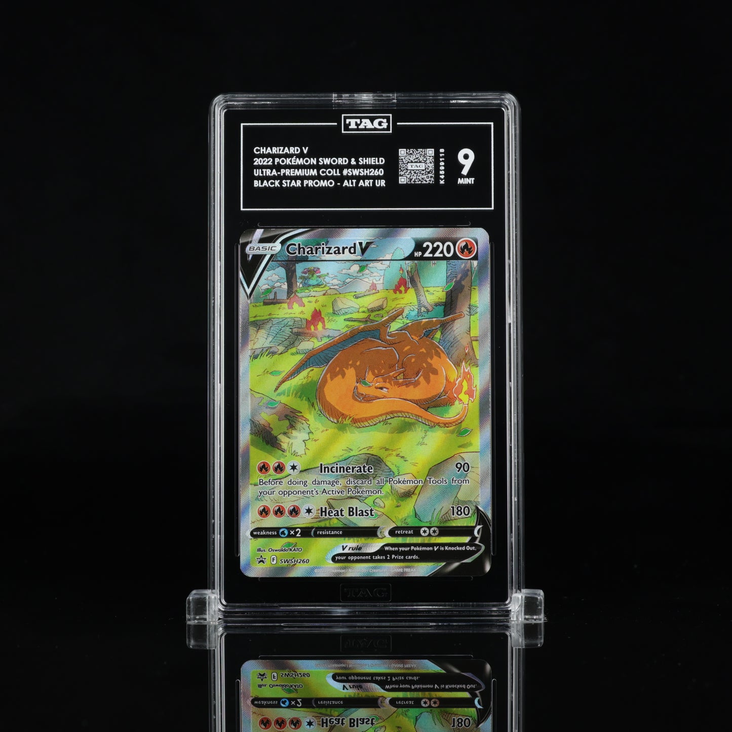 Charizard V (Alt. Art Ultra Rare) - TAG 9 - 2022 Pokémon #SWSH260