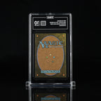 Web-Warriors (Borderless) - TAG 10 - 2025 MTG Marvel's Spider-Man #203