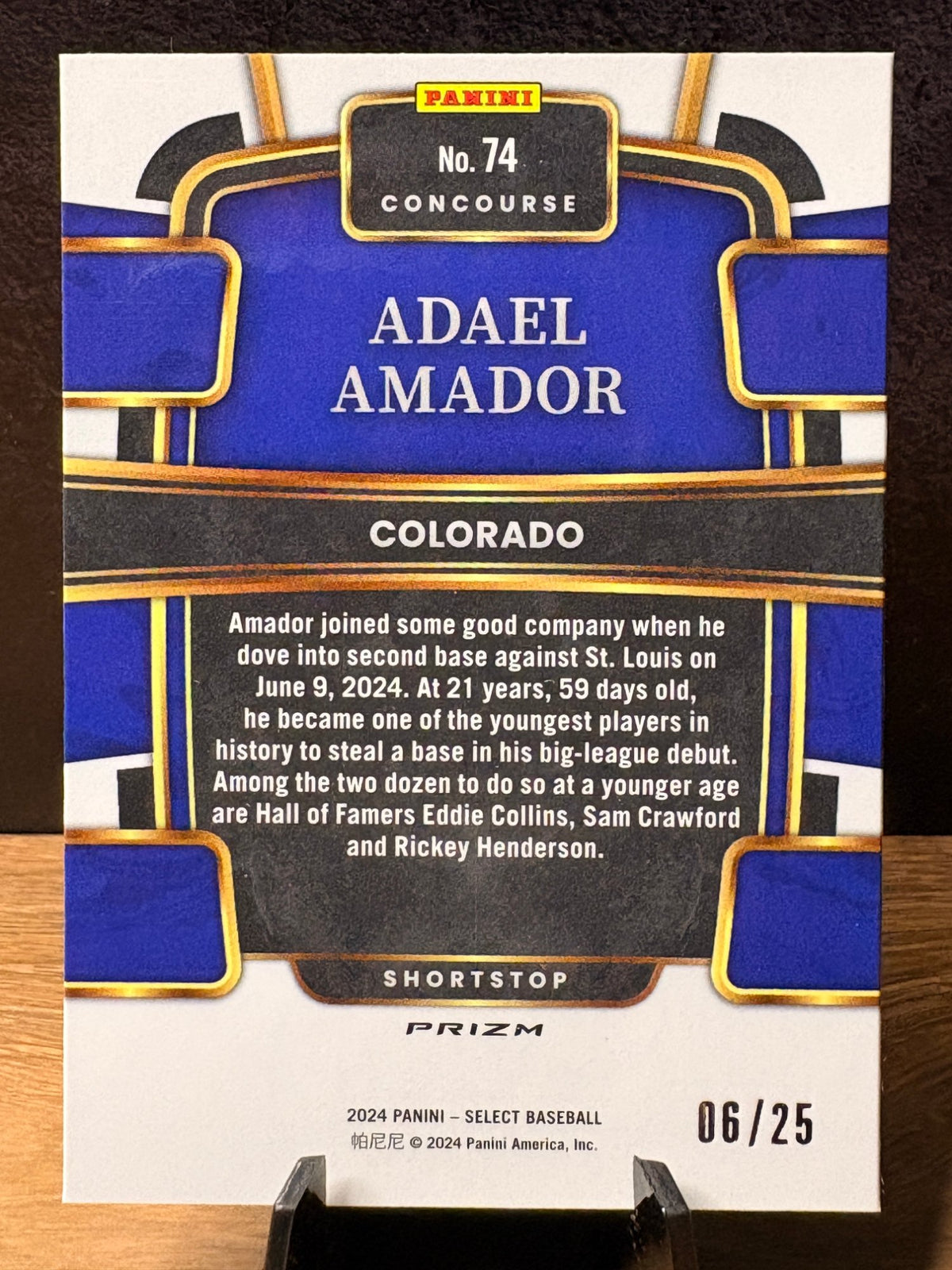 Adael Amador (RC Tie-Dye Prizm /25) - 2024 Panini Select Concourse #74 Baseball trading card, back